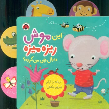 دنبال چی می گرده _ این موش ریزه میزه / شهرقلم