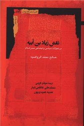 نقش زیاد بن ابیه/نگاه معاصر