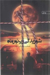 شوریدگی زیر نور ماه /سخن
