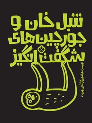 تنبل خان و جورچین های شگفت انگیز/پنجره