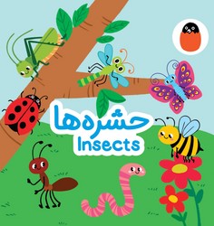 کتاب پارچه ای _ حشره ها/کتاب پرنده