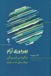 بهره‌وری آرام / آموخته