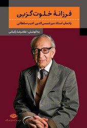 فرزانه خلوت گزین / نگاه