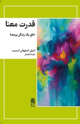 قدرت معنا / طرح نقد
