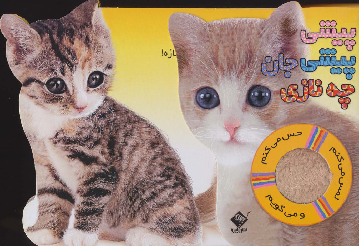 پیشی پیشی جان چه نازی : حس می کنم ، لمس می کنم : گربه
