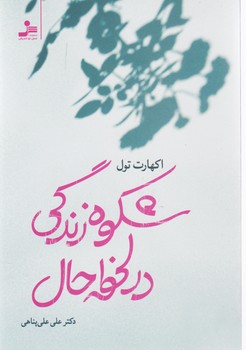 شکوه‏زندگی‏ در لحظه‏ حال / نو اندیش