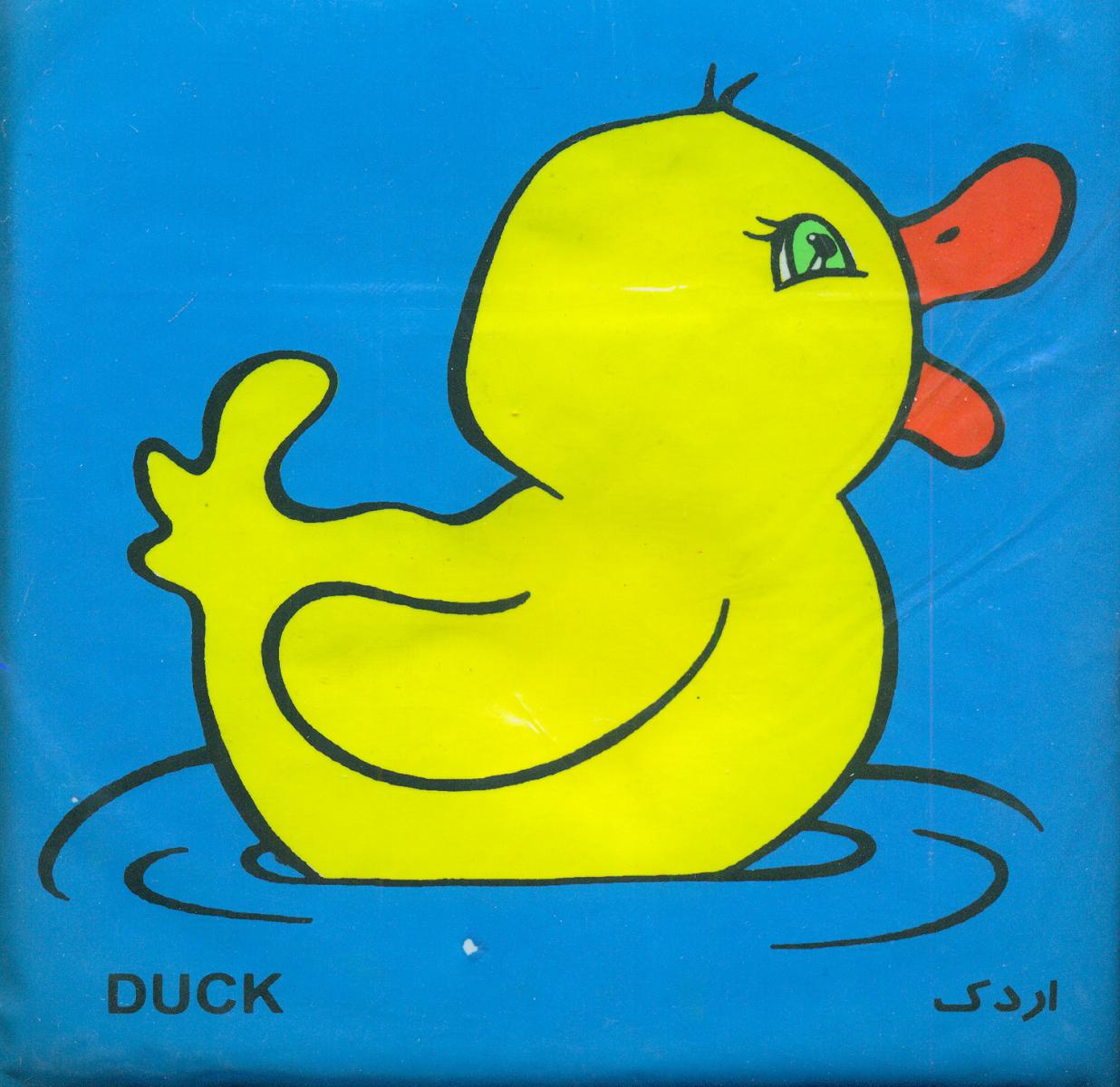 کتاب حمام متوسط _ اردک و ماهی/خانه ادبیات