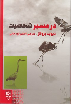در مسیر شخصیت/طرح نو