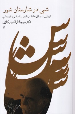شبی در شارستان شور/گویا