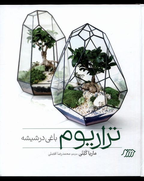 تراريوم(باغي در شيشه)نردبان#