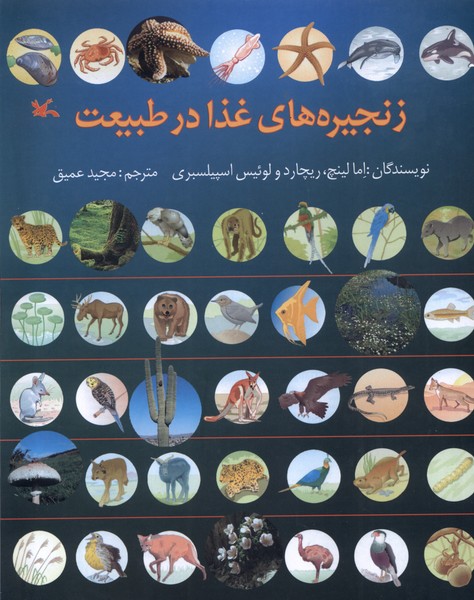 زنجيره‌هاي غذا در طبيعت(كانون‌پرورش‌فكري) #