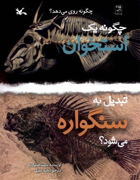چگونه‌يك‌‌استخوان‌‌تبديل‌به‌سنگواره‌مي‌شود(كانون‌)#