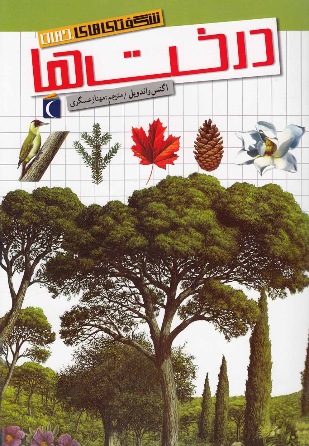 شگفتي‌هاي جهان(درخت‌ها‌)محراب‌قلم #