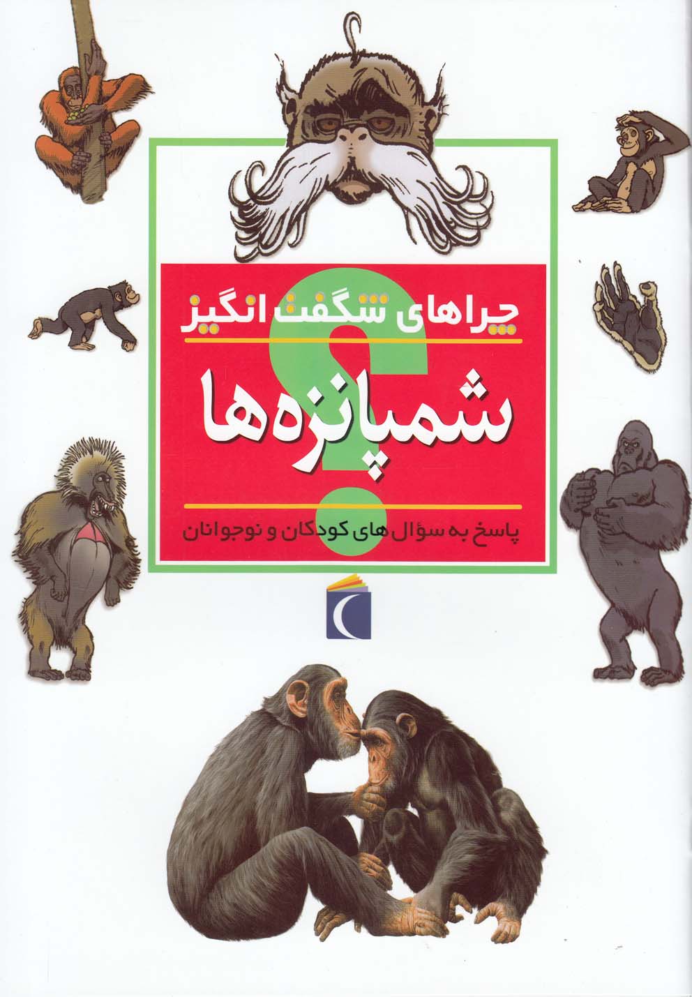 چراهاي شگفت انگيز(شمپانزه‌ها)محراب‌قلم #