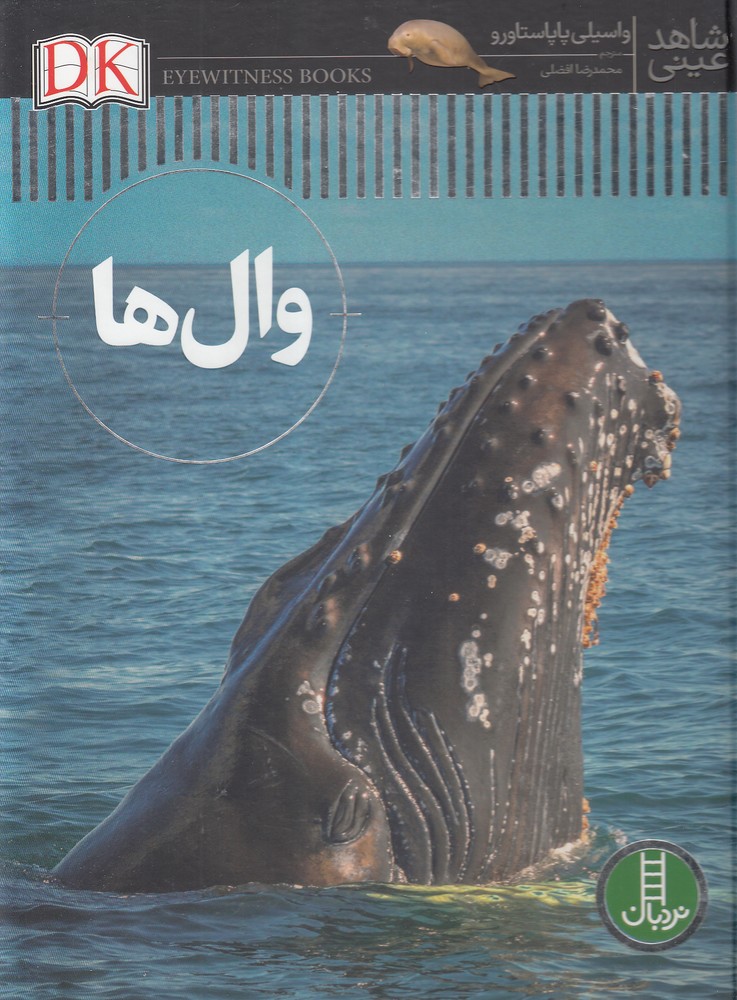 شاهد عيني(وال ها)نردبان#