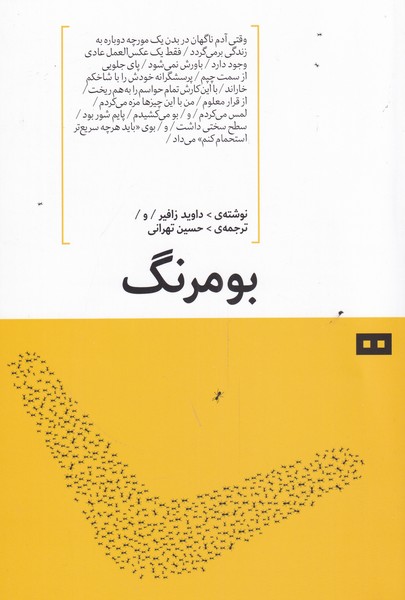 بومرنگ(هيرمند)