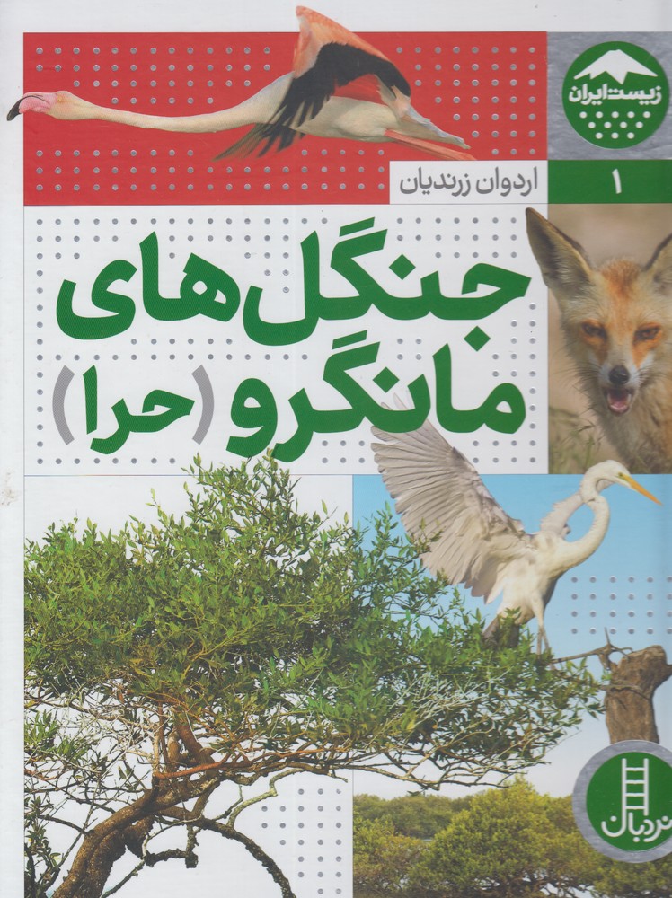 زيست ايران(1)جنگل‌هاي‌ مانگرو ‌حرا(نردبان) #