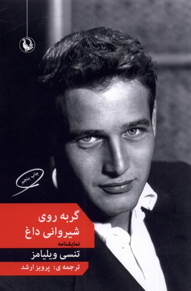 گربه روي شيرواني داغ(مرواريد)