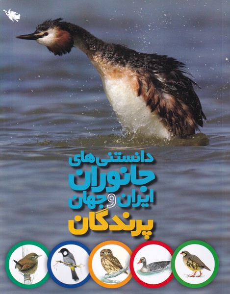 دانستني‌هاي جانوران ايران و جهان(پرندگان)طلايي #