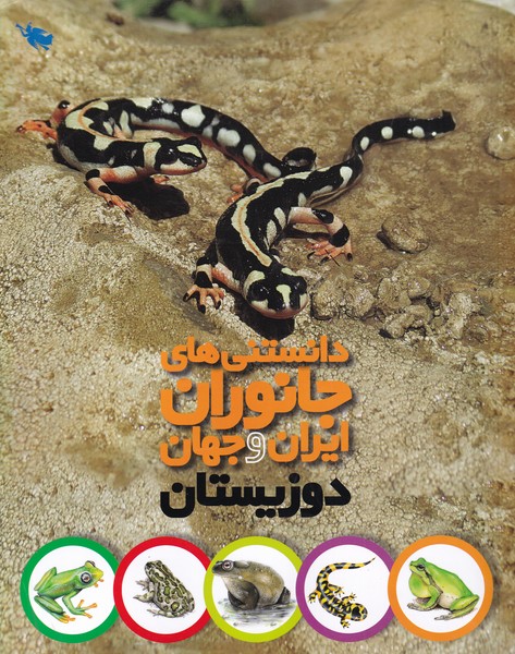 دانستني‌هاي جانوران ايران و جهان(دوزيستان)طلايي #