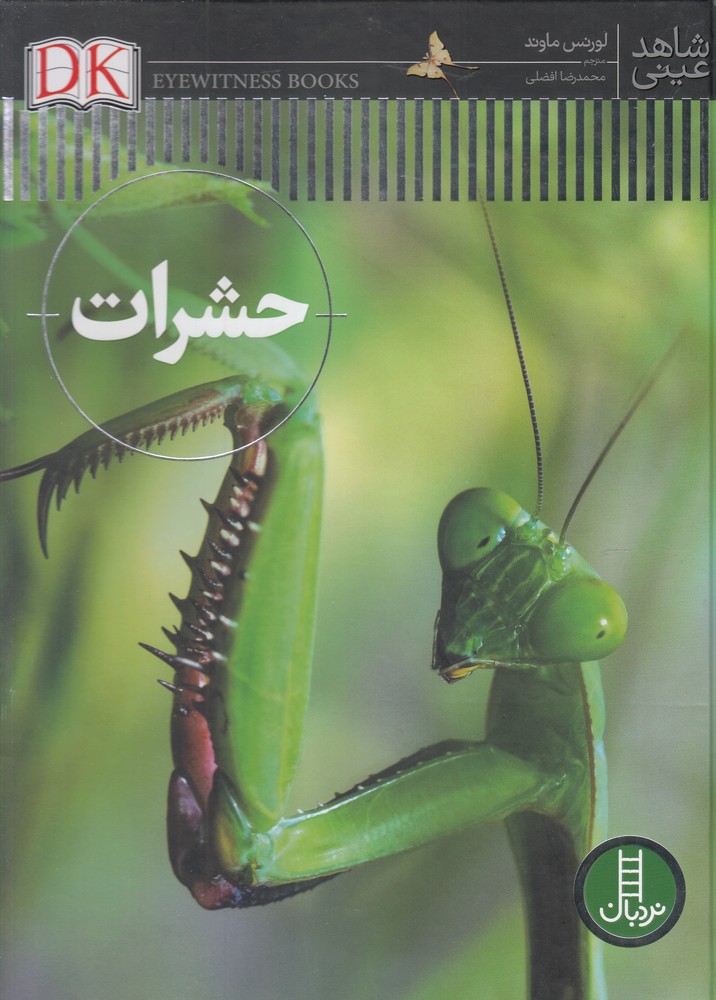 شاهد عيني(حشرات)نردبان#