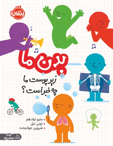 بدن ما(زيرپوست‌‌ماچه‌خبراست)پرتقال
