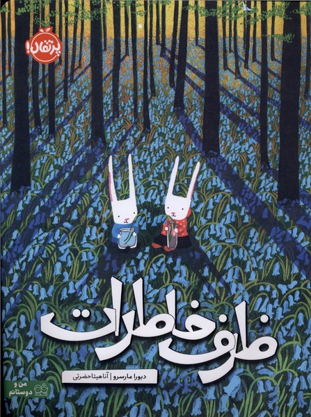 ظرف خاطرات(پرتقال)#