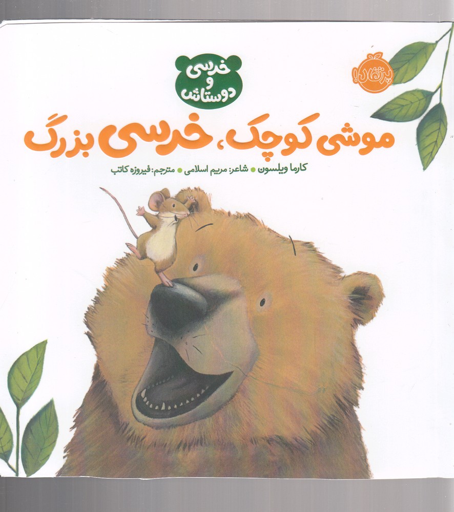 خرسي(موشي كوچك خرسي بزرگ)پرتقال #