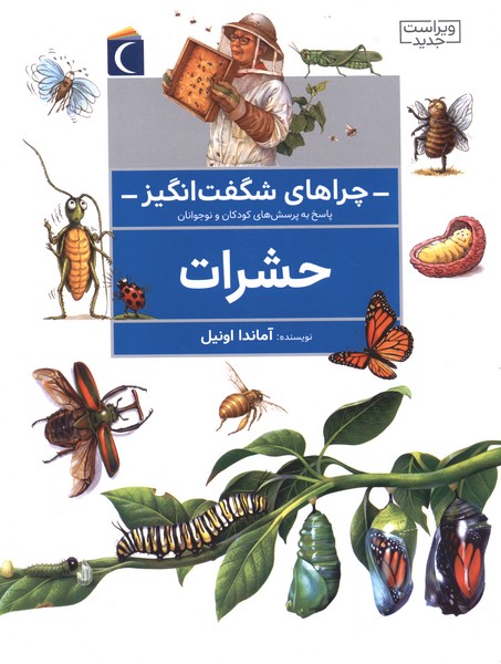 چراهاي شگفت انگيز(حشرات)محراب‌قلم#