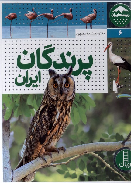 زيست ايران(6)پرندگان‌ايران(نردبان)#